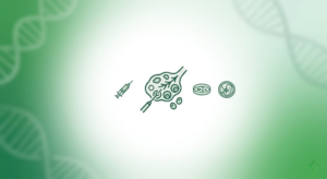 Egg Retrieval IVF Process