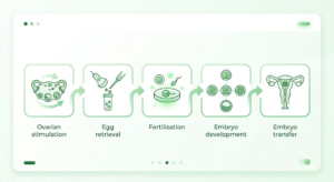 IVF Process Step By Step