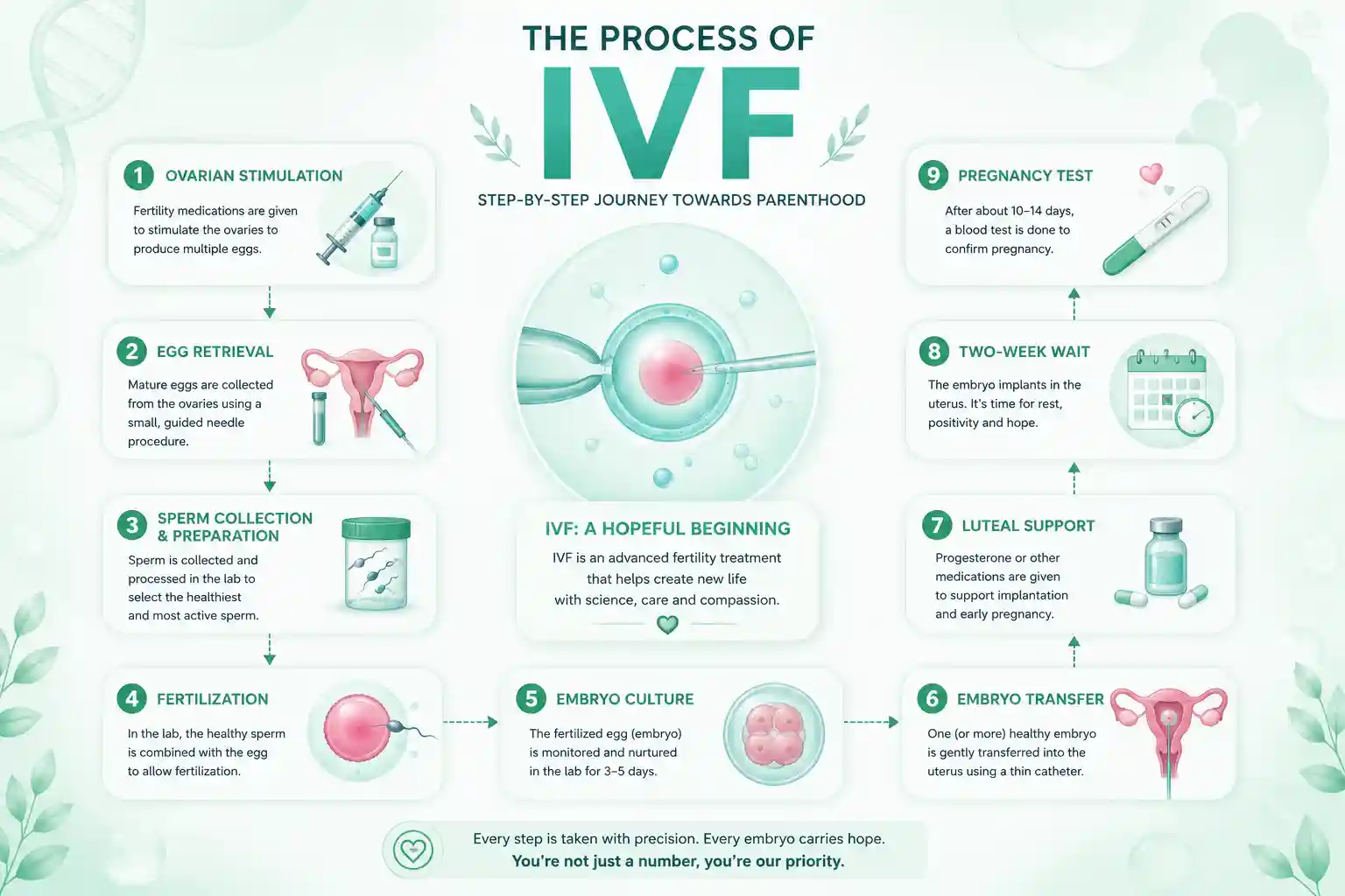 Process of IVF